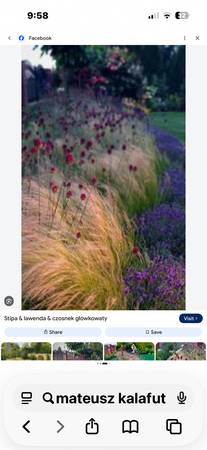 Landscapers 1