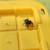 Jumping Spider 2 thumbnail
