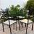 Garden table set , Live plants 13 thumbnail