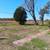 🏡 Newly Renovated 3 Bedroom/1 Bathroom House for Rent in Cahokia, IL 8 thumbnail