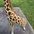 Melissa & Doug Plush Giraffe Stuffed Animal Toy 4.5 Feet Tall 5 thumbnail
