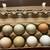 Eggs forasale 2 thumbnail