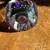Vintage Adam Jablonski Paperweight 5 thumbnail