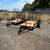 Falcon Sport Single Axle Trailer 14 thumbnail