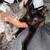 Cat Rehoming 1 thumbnail