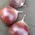 Chestnuts 8 thumbnail
