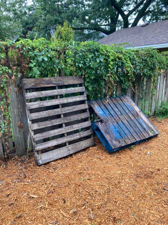 FREE Pallets! 1
