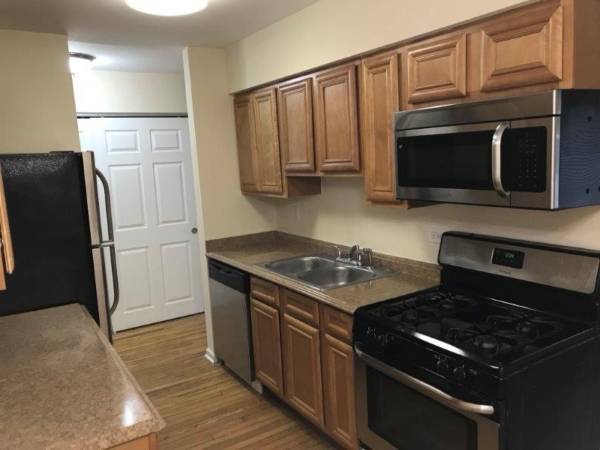 $1,400 / 1br - 🦢🥀📚Lakeview Cozy 1BD Nest of Sunlight & Quiet Dreams🦢🥀📚 (Chicago)63898858161154123