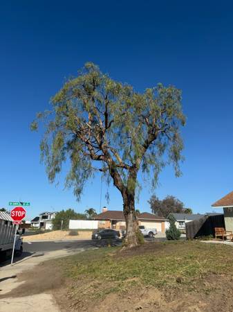 North County Tree Trimming & Removal — Experienced Family Crew 1