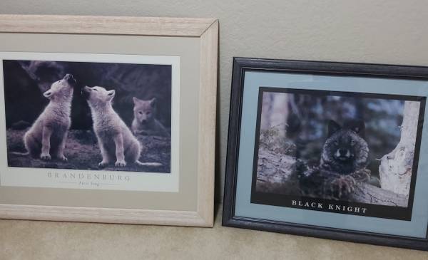 Wolf framed art prints 1