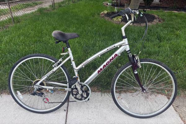 Manga Oasis Hybrid Bike 1