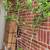 Fruit Trees with fruit on them 9 thumbnail