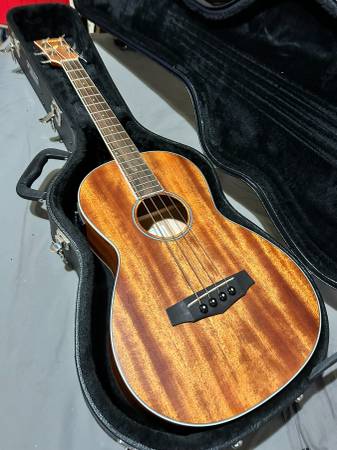 Ibenez -OPNPNB14E Acoustic Bass 1