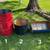 FIRE RING FIRE PIT BARREL 2 thumbnail