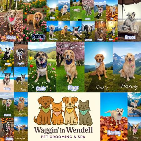 ¡¡Peluquería para mascotas! (Wendell)63844233742721121