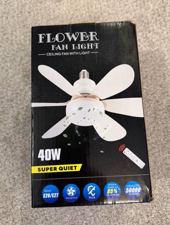 Ceiling Fan Light 1