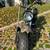 Massimo Motor Warrior Mini Bike 10 thumbnail