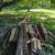 Pressure treated lumber 10 thumbnail