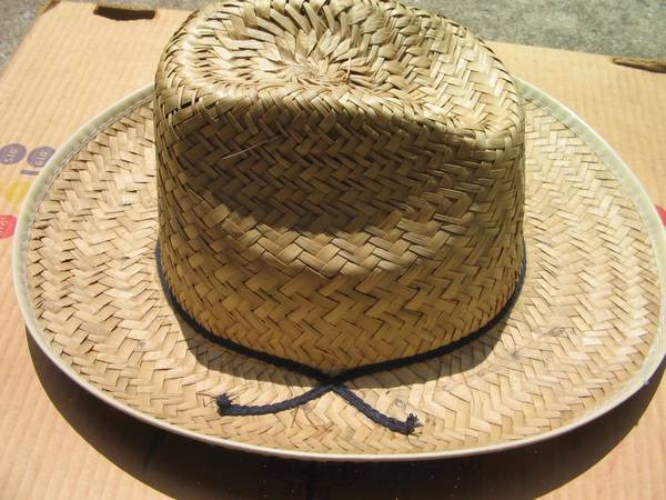 Cowboy Style Hat 1