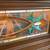 Working Vintage Nickelodeon Piano Drums/Cymbal/Woodblock/Tambourine 4 thumbnail
