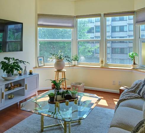 $1,100 / 1br - 640ft2 - Unbeatable Location For This 1 Bed 1 Bath Apartment for Rent! (, Washington DC, DC)64040026828163123