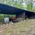 For Sale – 31-Acre Farm with Home, Pond & Multiple Outbuildings 13 thumbnail