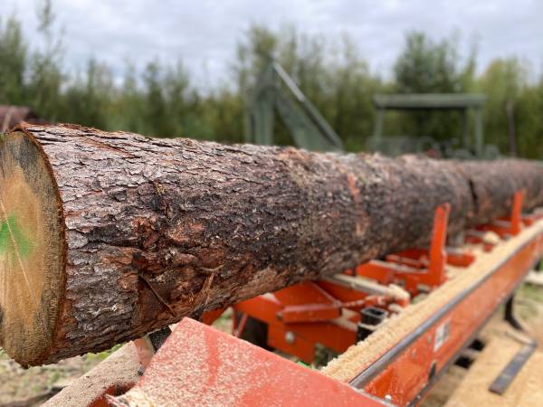 Rough cut lumber, beams, d-logs,etc. 1