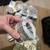 Movie Prop Money (with Duffle Bag) 6 thumbnail