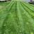 Need Mulch Laying, Seeding, Brush Clearing or Aeration? CALL GLENN! 17 thumbnail