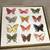 Butterfly/ Butterflies LOT! 2 thumbnail