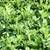 Reserve 2025 Premium Horse Hay,  Free Indoor Storage, Cert Weed Fre 2 thumbnail