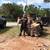 TREE REMOVAL TREE TRIMMING TREE SERVICE STUMP GRINDINGS LANDSCAPE 1 thumbnail
