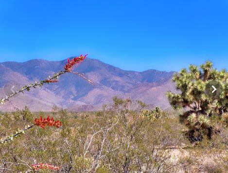 $4,725 Stunning Lot 1.09 Acres For Sale63859612894593120