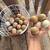 Chicks 3 thumbnail