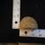 agate,water line,rock,crystal,stone,specimen,cut,quarz 2 thumbnail