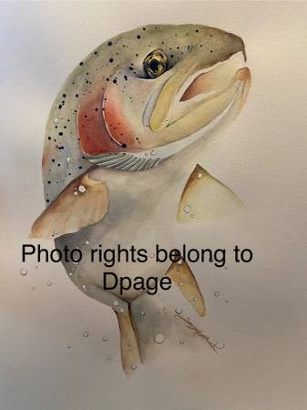 Original Trout watercolor painting 1