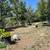 Farm land for rent 3 thumbnail