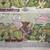Eastman and Laird's Teenage Mutant Ninja Turtles Comic Book #9 (1990) 3 thumbnail