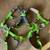 DBI SALA Intelligent Safety Harness LG 2 thumbnail