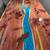 Epoxy table tops with cedar 6 thumbnail