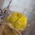 Velas, homemade candles 4 thumbnail