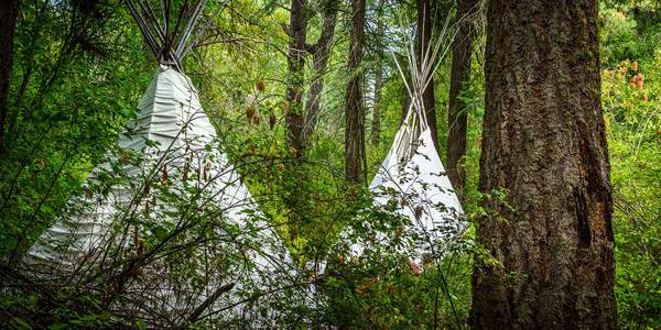 Tipi (Canvas Only!) 1