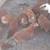 Golden comets, Black Australorps, Rhode island red hens 1 thumbnail