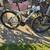 Giant mtn bike talon 5 27.5 med. 1 thumbnail