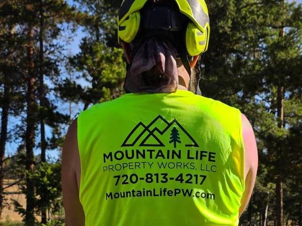 Tree Services and small engine services *FREE ESTIMATES* 1