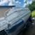Pontoon boat 1 thumbnail