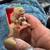 Hand Carved Lion Stamp Chinese with ink & original box 14 thumbnail