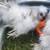 Silkies 4 thumbnail
