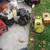 SEVERAL KINDS OF SMALL ENGINES 3 thumbnail