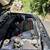 Euro 1991 Golf GL VR6 SYNCRO 2 thumbnail